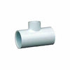 Charlotte Pipe Solvent Weld FIP Schedule 40 PVC Tee