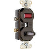 Switch & Pilot Light, Single-Pole, Brown, 15-Amp, 120/125-Volt