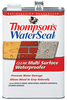Thompson’s® WaterSeal® Clear Multi-Surface Waterproofer 1 Gal