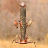 Woodstream Perky-Pet® Copper Finish 2-In-1 Wild Bird Feeder