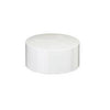 Tigre Usa Inc 36-2011 3 Wht Sdr Pvc Cap
