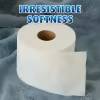 Charmin Ultra Soft Mega Roll