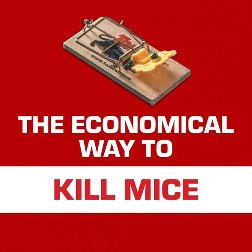 Tomcat® Mouse Traps (Wooden)