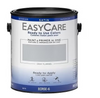 True Value EasyCare Ready to Use Colors 1 Gal. Interior Satin Latex Paint & Primer, Gray Flannel