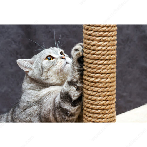 Richelieu Hardware Twisted Sisal Rope
