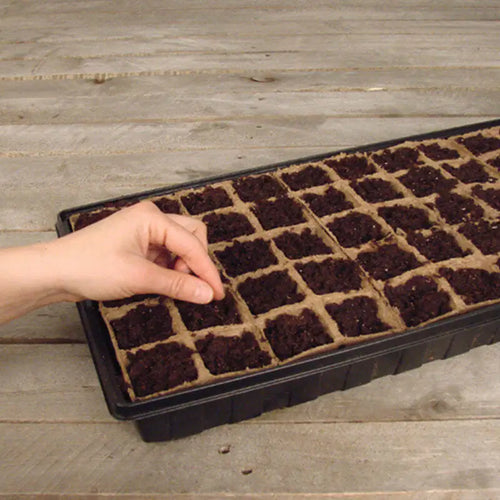 Ferry-Morse Jiffy Seed Starting Greenhouse Kit with 50 Biodegradable Peat Strip Cells