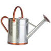 GALVENIZED WATERING CAN (2 GALLON, GALVANIZED)